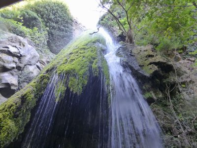 Welcome to Lykno Tourism, your trusted incoming tour operator in Crete